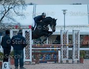 Lucky della Verdina Tosc Tour2013- S5 1957 : Arezzo, Cavalli d'Italia, Lucky della Verdina, Toscana Tour 2013, foto di Stefano Secchi ©